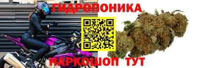 Альфа ПВП Лесосибирск