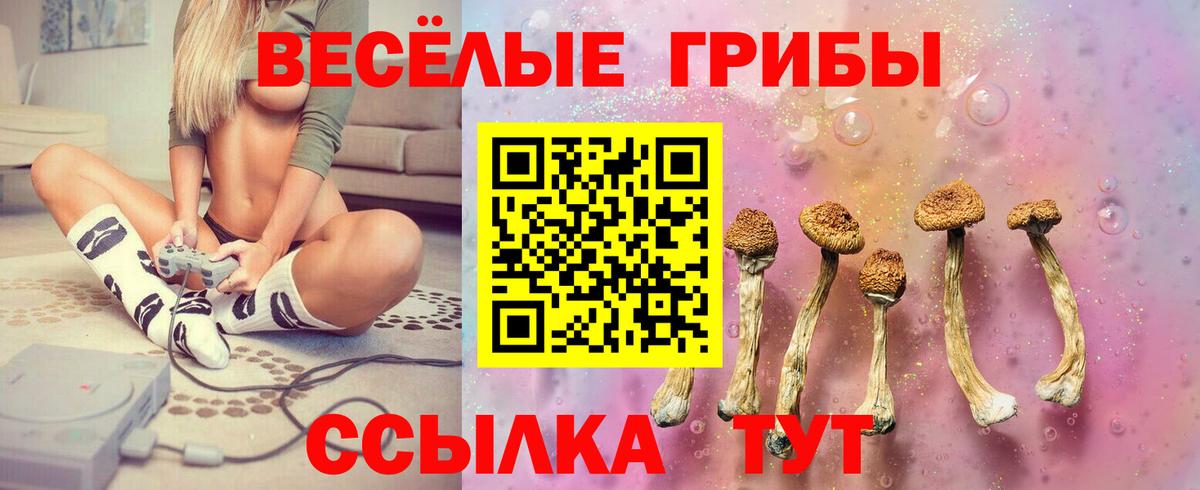 Купить наркотики  Меф МЯУ МЯУ кристаллы  Донецк  МАРИХУАНА  Вход с VPN  Гашиш 